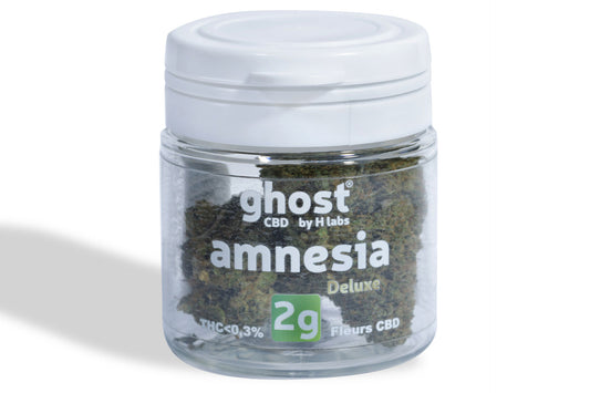 Amnesia Deluxe